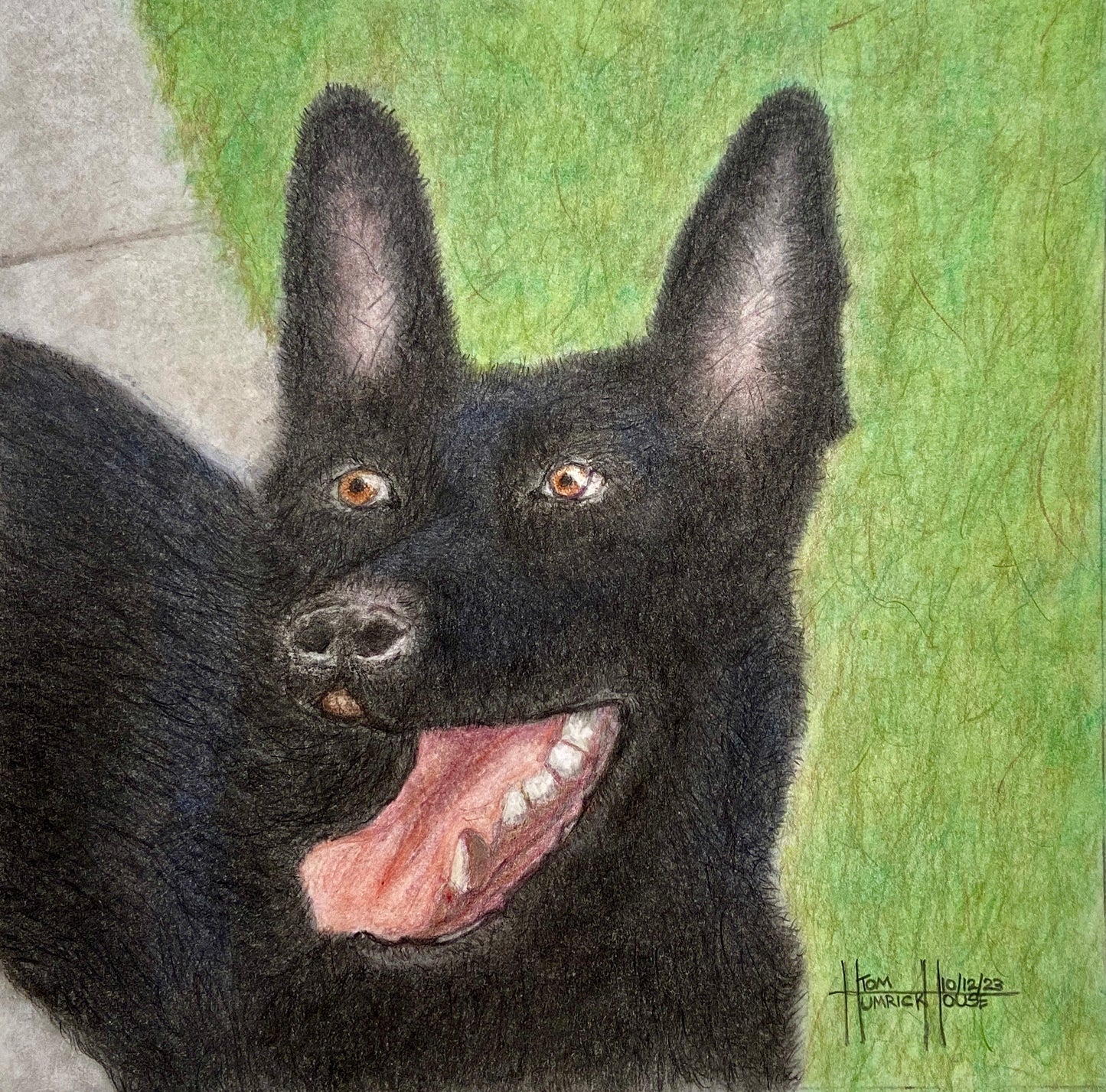 Max - Original pencil (SOLD commission)