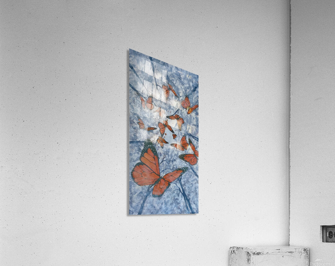 2339383 :: Acrylic Print