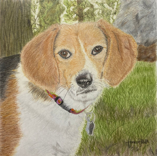 Maggie - Original pencil (SOLD commission)