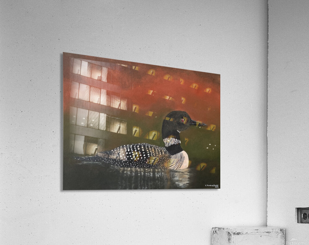 2339388 :: Acrylic Print